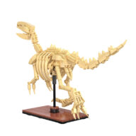 44ed4e678af044b493ed94ea449de2ae CaDa dinozavrov forsil: Velociraptor C59014W