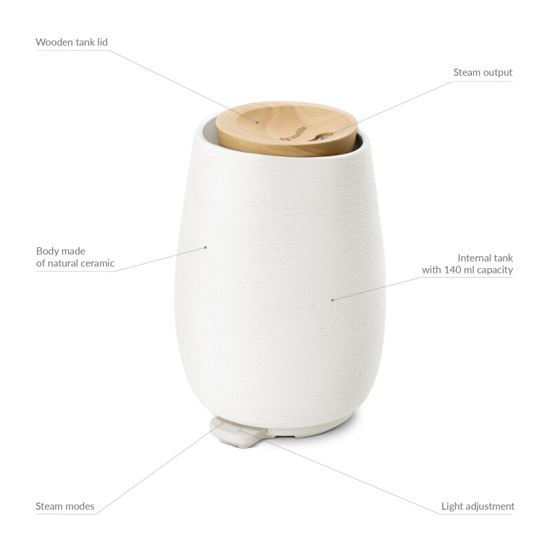 TrueLife AIR aroma difuzor D8