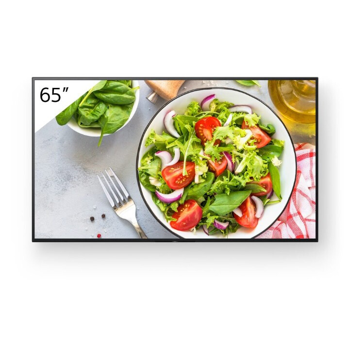 SONY BRAVIA PRO FW-65BZ35L